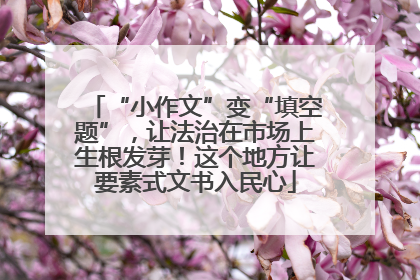 “小作文”变“填空题”，让法治在市场上生根发芽！这个地方让要素式文书入民心